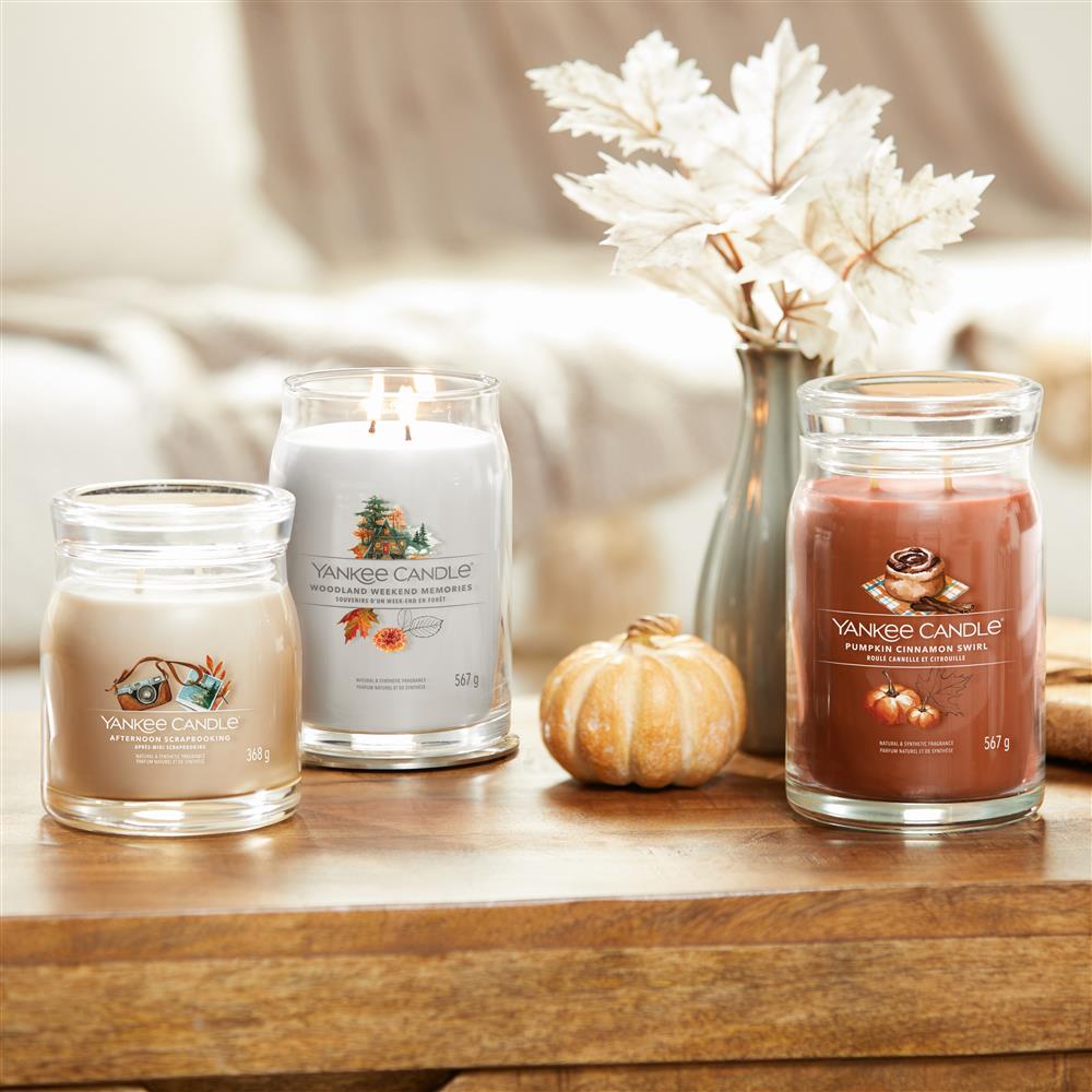 🕯️YANKEE CANDLE SIGNATURE, Pumpkin Cinnamon Swirl, Medium Jar