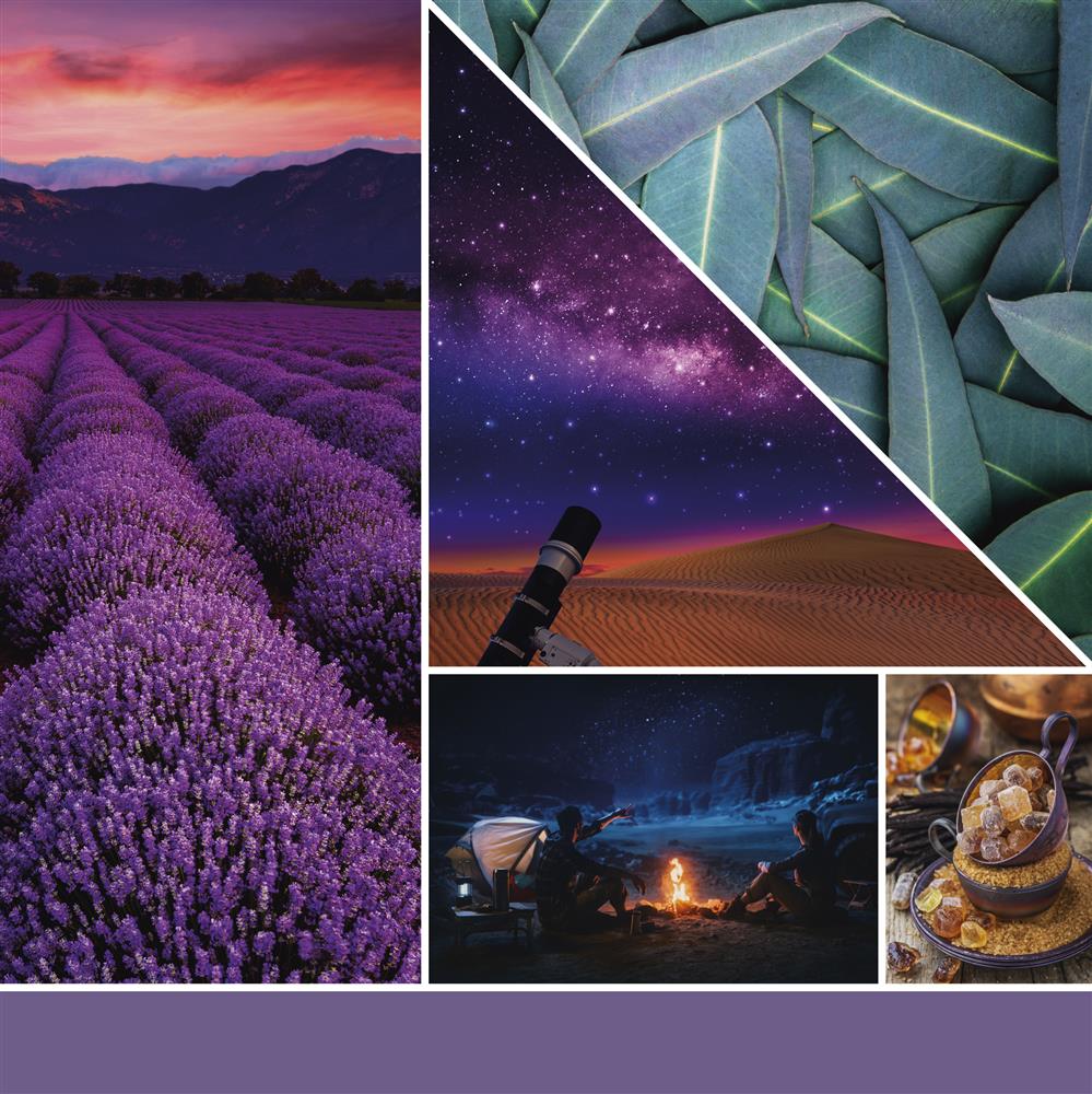 🕯️YANKEE CANDLE SIGNATURE, STARGAZING, LARGE TUMBLER