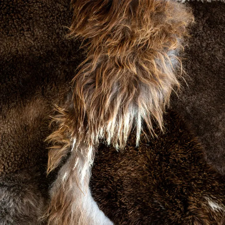 VAN BUREN, MELANGE SCHAFFELL TEPPICH, BRAUN